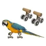 Bird Intelligence Training Toy