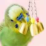 Bird Hanging Chain With Three Little Bells