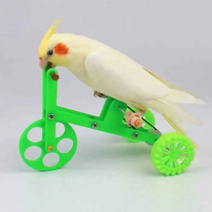 Funny Parrot Bike Toy