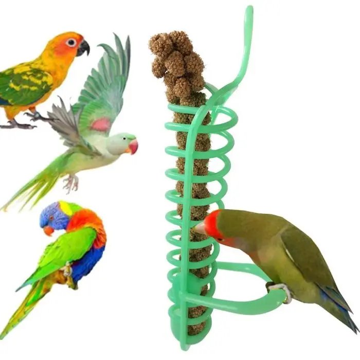 Bird Hanging Spiral Feeder Chew Toy