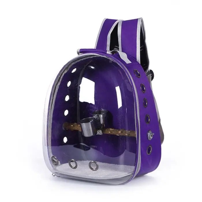 Transparent Backpack Outdoor Travel