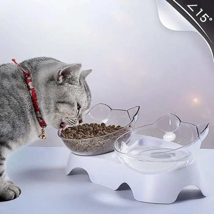 Pet Food And Water Bowls Cats Dogs Feeders Cat Bowl