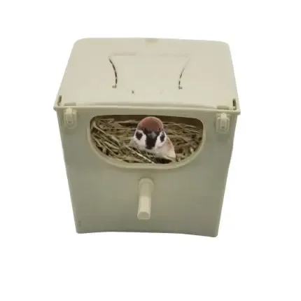 Bird Mating Box