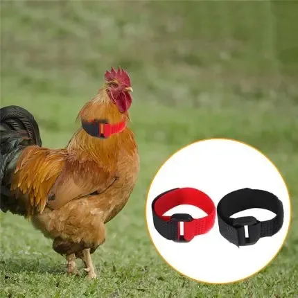 Rooster Neck Collar Supplies