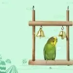 8 Packs Bird Swing Hanging Toy
