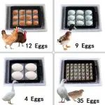 Automatic Brooder egg incubator
