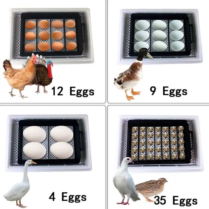 Automatic Brooder egg incubator