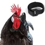 Rooster Neck Collar Supplies