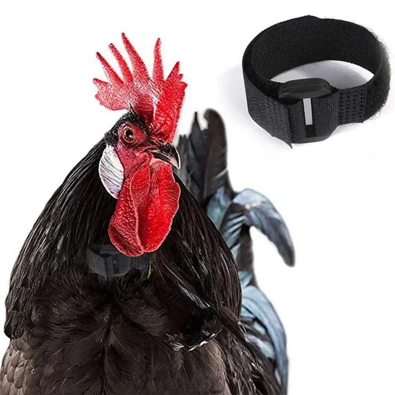 Rooster Neck Collar Supplies