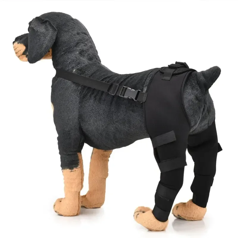Pet Leg Support Supplies