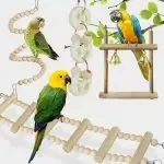 8 Packs Bird Swing Hanging Toy