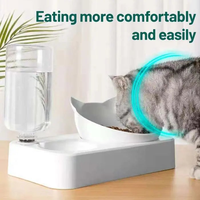 Pet Cat Food Bowl with Automatic Water Dispenser