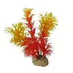 Aquarium Plants For The Fish Tank Aquarium Decoration