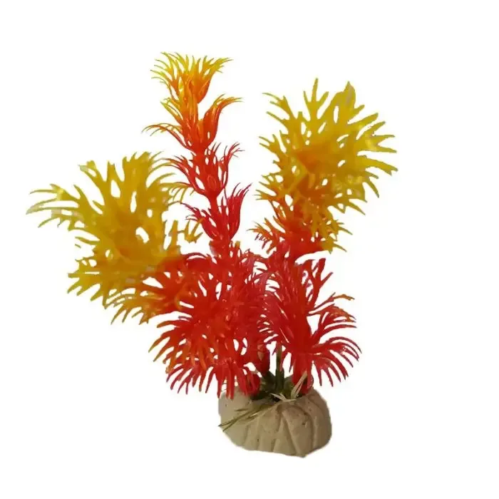 Aquarium Plants For The Fish Tank Aquarium Decoration