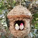 Handwoven Straw Bird Nest
