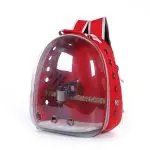 Transparent Backpack Outdoor Travel