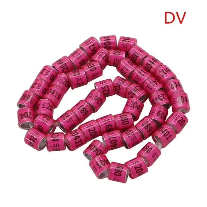 Multicolor Pigeon Foot Ring