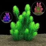 Aquarium Plants For The Fish Tank Aquarium Decoration