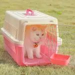 Carrier Box Plastic Cat Feeder