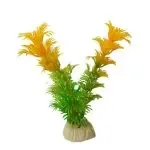 Aquarium Plants For The Fish Tank Aquarium Decoration