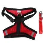 Pet Chest Strap Shining Rhinestone Heart design