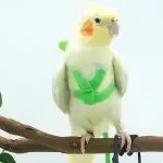 Adjustable Bird Harness Leash Set