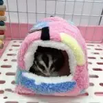 Bird Mini Winter Hanging Hut