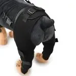 Pet Leg Support Supplies