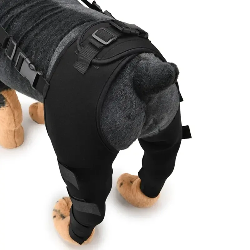 Pet Leg Support Supplies