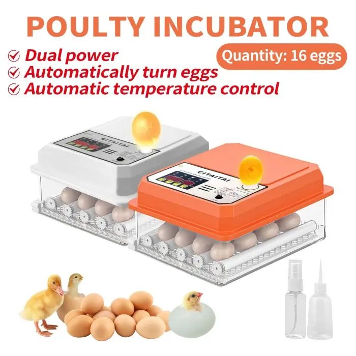 Fully Automatic Eggs Incubator