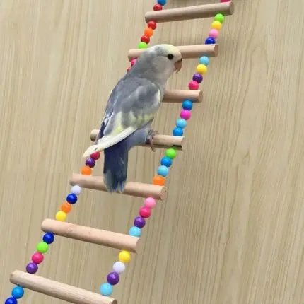 Birds Climbing Toy With Colorful Balls