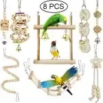 8 Packs Bird Swing Hanging Toy