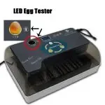 Automatic Brooder egg incubator