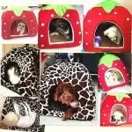 Soft Strawberry Leopard Pet Dog Cat House