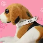 Adjustable Colorful Pet Collars PU Leather Neck Strap Safe For Dogs