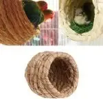 Bird Breeding Nest Winter Warmer