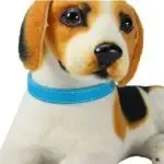 Adjustable Colorful Pet Collars PU Leather Neck Strap Safe For Dogs