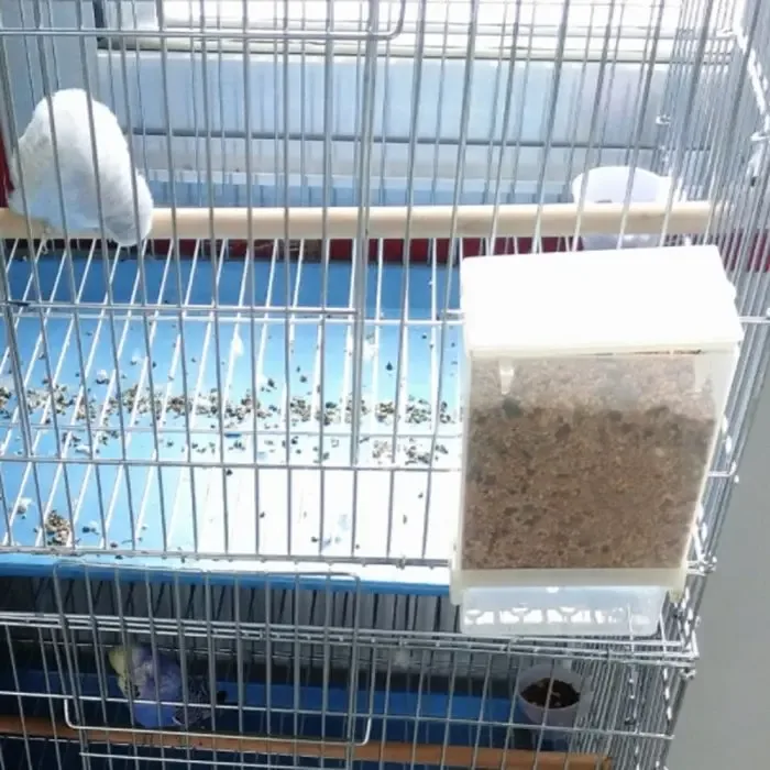 Bird Hanging Automatic Feeder
