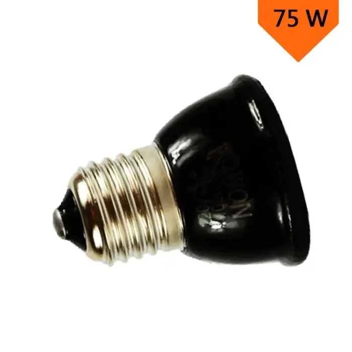 Reptile Pet Heating Lamp