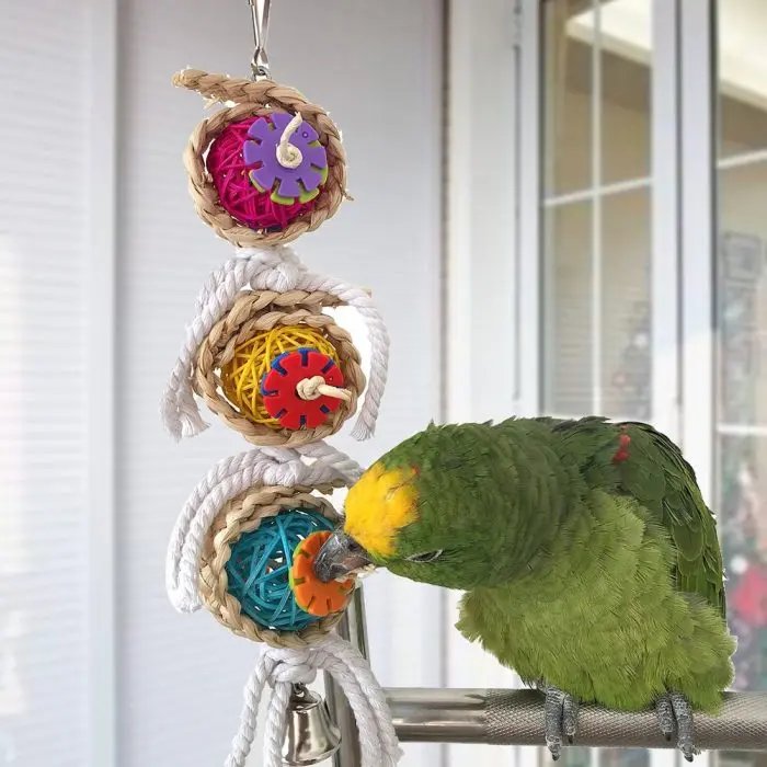 Bird Bites Climb Chew Toys