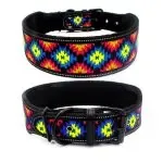 Reflective Nylon Dog Collar