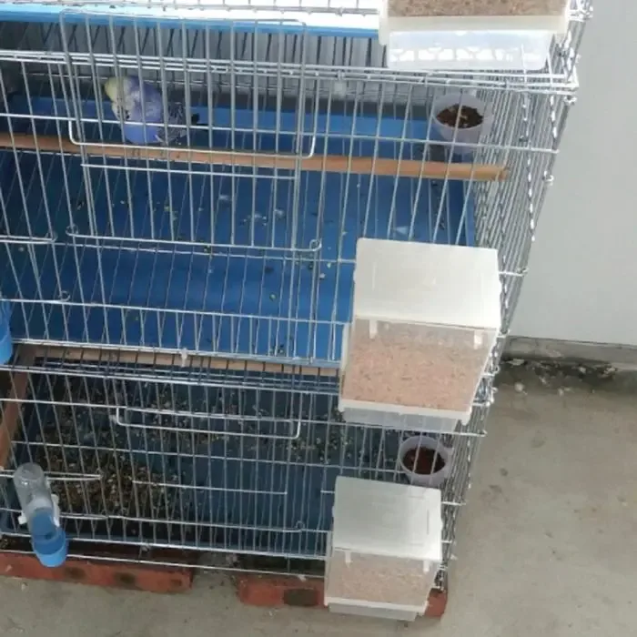 Bird Hanging Automatic Feeder