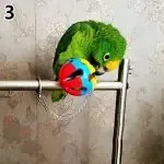 Bird Chain Chew Ball