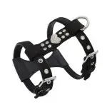 Pet Chest Strap Shining Rhinestone Heart design