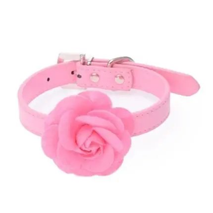 Rose Flower Small Pets Dog Collar