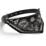 Dog Collars For Small Dog