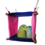 Square Bird Nest