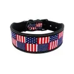 Reflective Nylon Dog Collar