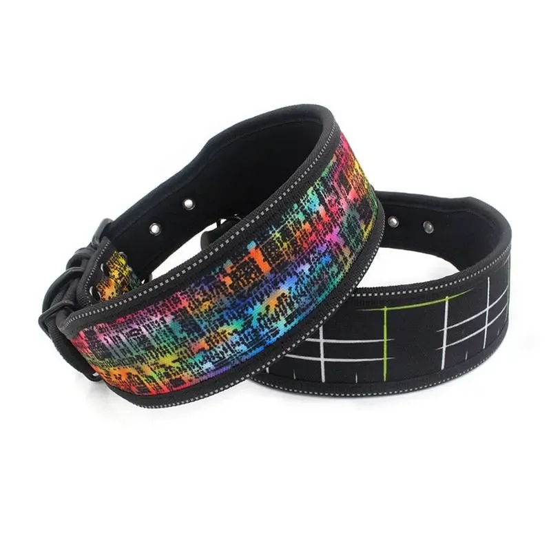 Reflective Nylon Dog Collar