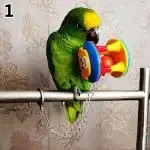Bird Chain Chew Ball